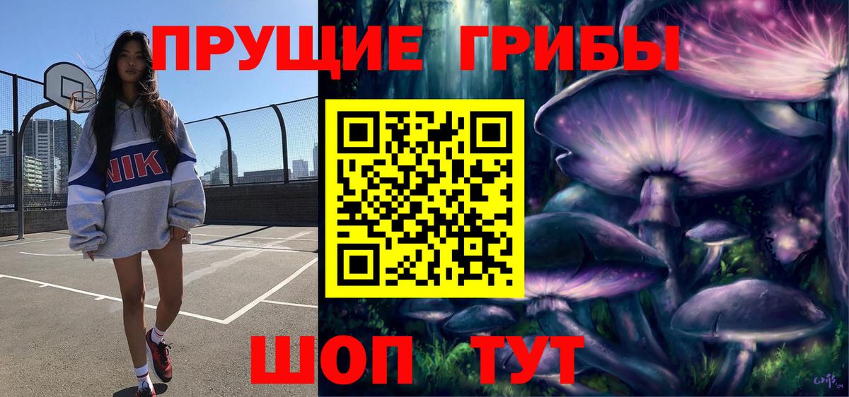 Псилоцибиновые грибы прущие грибы Сегежа