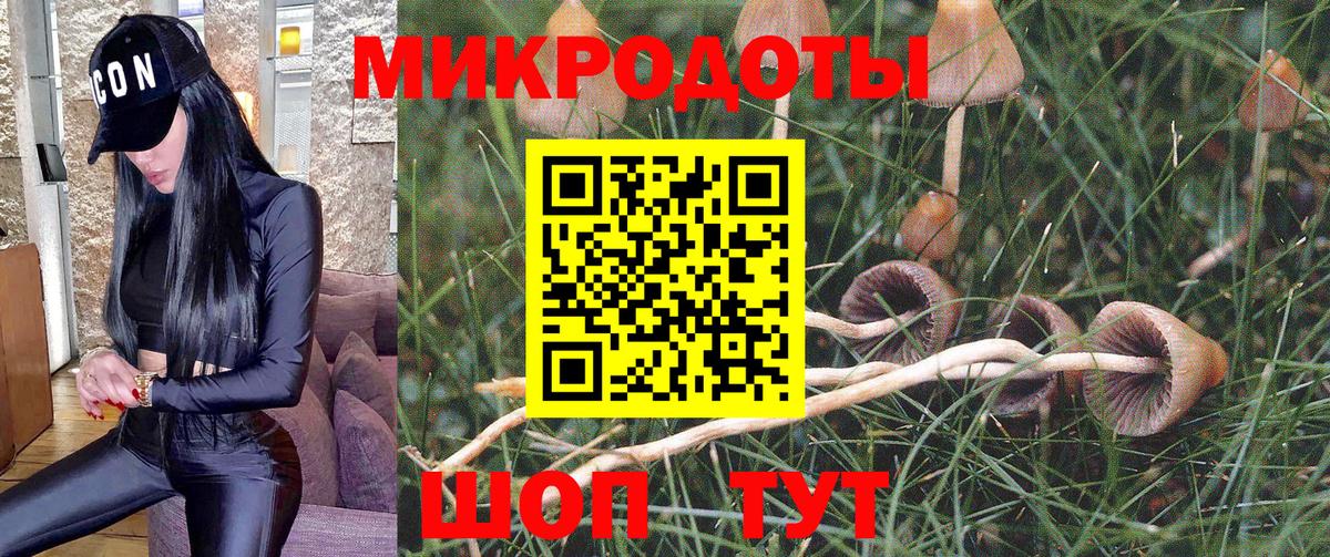Галлюциногенные грибы MAGIC MUSHROOMS  Галлюциногенные грибы ЛСД  Вход с VPN  Сегежа 